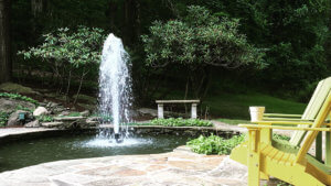 Bearon Aquatics Olympus Fountains